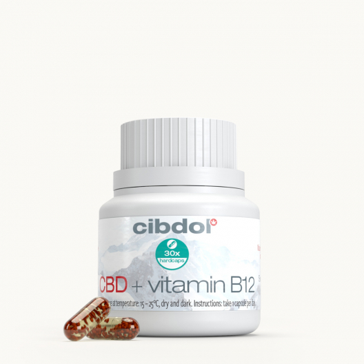 CBD Vitamin B12 Formula (600mg)