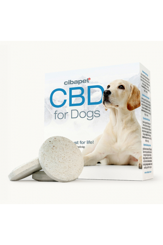 CBD tabletták kutyáknak