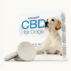 CBD tabletták kutyáknak