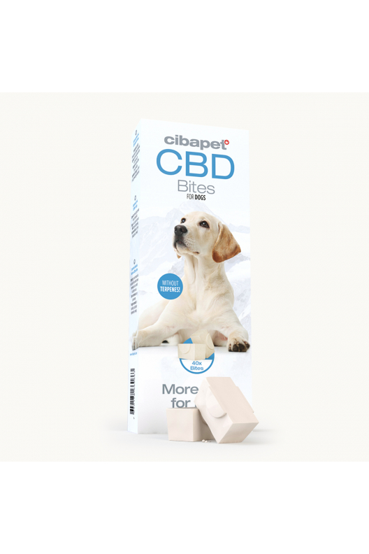 CBD kutya csemege