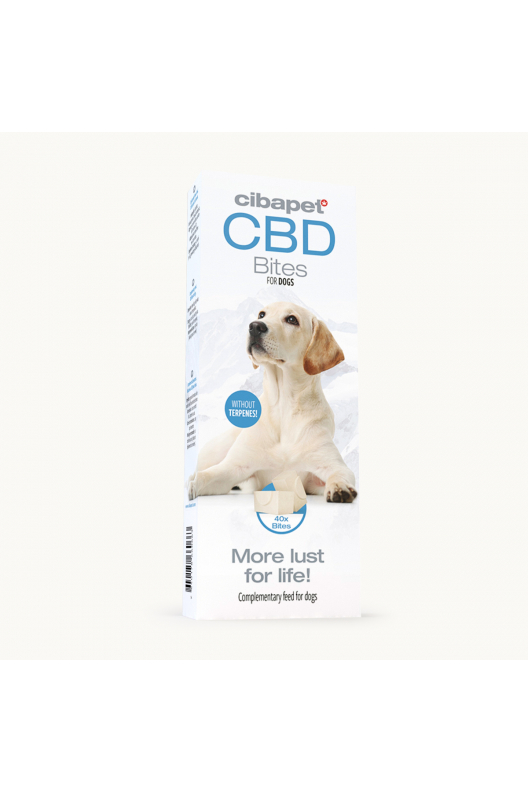 CBD kutya csemege