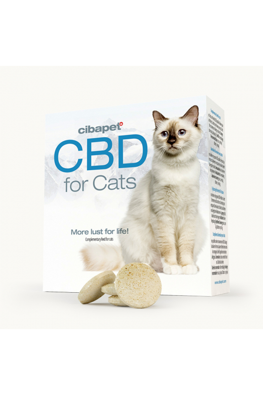 CBD tabletták macskáknak