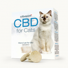 CBD tabletták macskáknak