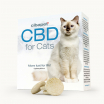 CBD tabletták macskáknak
