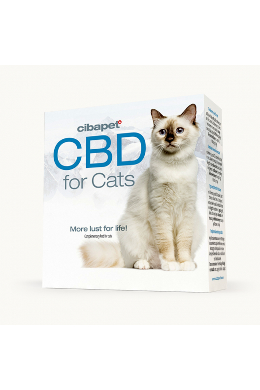 CBD tabletták macskáknak