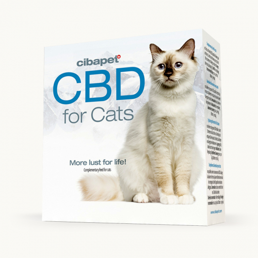 CBD tabletták macskáknak
