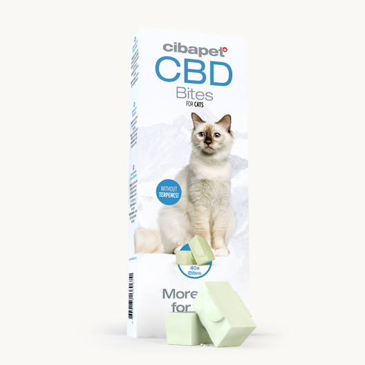 CBD falatok cicáknak