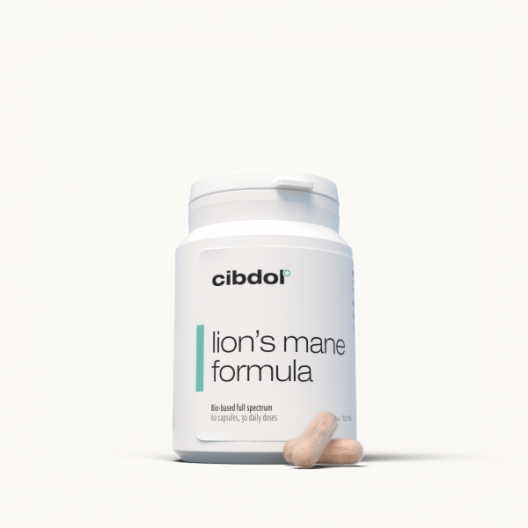 Lion's Mane Formula