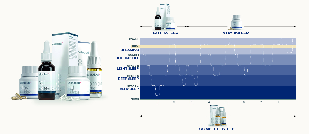 sleep stages infographic