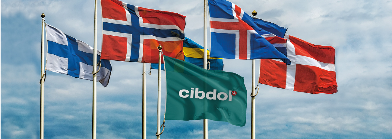 A Cibdol már 16 nyelven elérhető