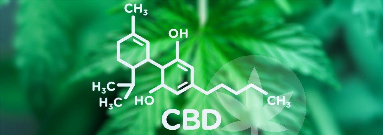 cannabis background and CBD structure