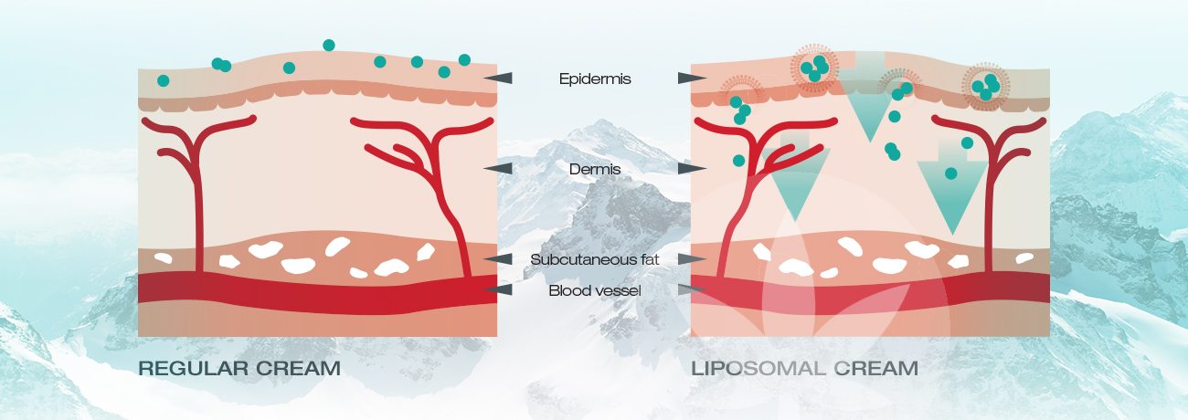 Lipsomal cream