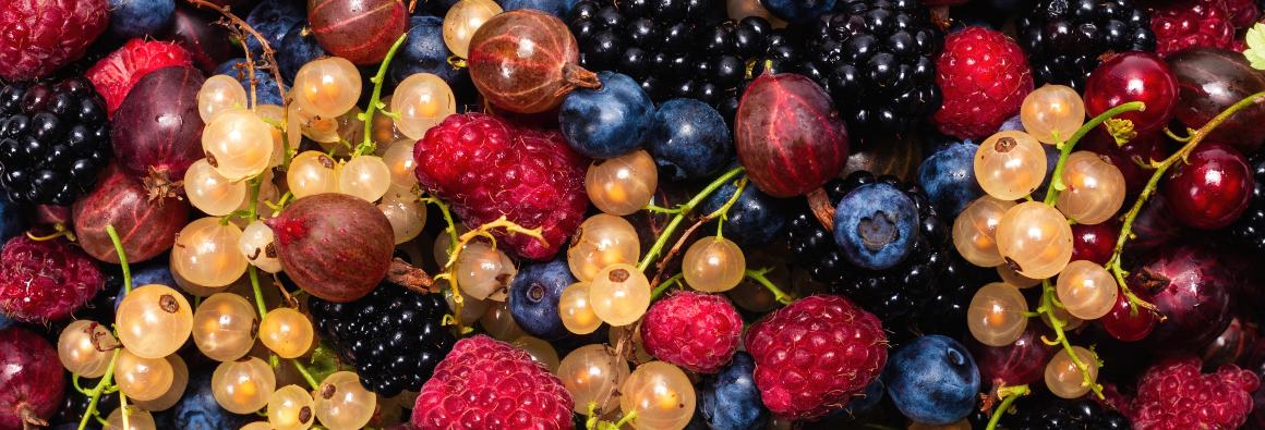 Milyen gyümölcsök tartalmaznak nagyon sok Omega-3-at?