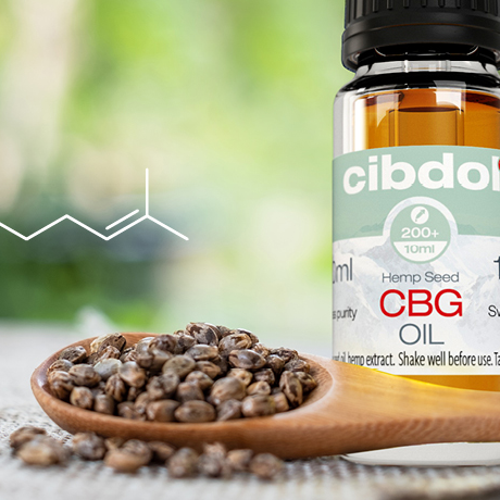 Looking At Cannabinoids: What Is CBG?